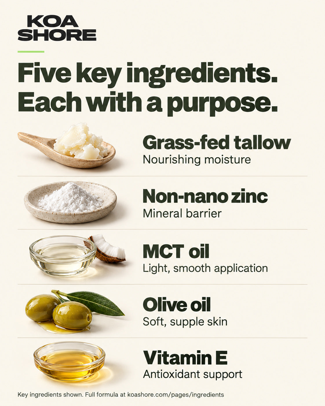 Five key ingredients in Daily Defence: grass-fed tallow, non-nano zinc, MCT oil, olive oil and vitamin E. Full formula on the ingredients page.